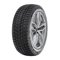 Foto pneumatico: RADAR, DIMAX ALPINE 195/55 R16 91H Invernali