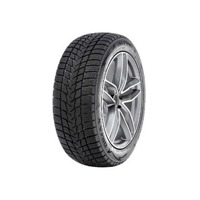 Foto pneumatico: RADAR, DIMAX ALPINE 195/55 R15 89H Invernali