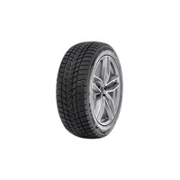 Foto pneumatico: RADAR, DIMAX ALPINE 185/65 R15 92T Invernali