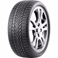 Foto pneumatico: ROADMARCH, WINTERXPRO 888 255/40 R19 100H Invernali