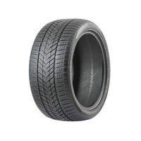 Foto pneumatico: ROADMARCH, WINTERXPRO 999 275/35 R19 100V Invernali