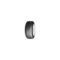 Foto pneumatico: ROADSTONE, WINGUARD SPORT XL 205/45 R17 88V Invernali