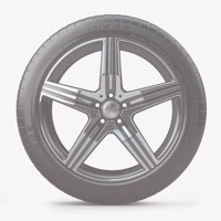 Foto pneumatico: PROFIL, PRO SNOW 790 RETREADED 225/45 R17 91V Invernali