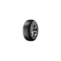 Foto pneumatico: SUNNY, NC501 XL 225/55 R17 101W Quattro-stagioni