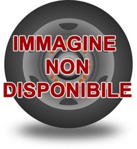 Foto pneumatico: RADAR, DIMAX WINTER SPORT XL M+S 3PMSF 205/45 R17 88V Invernali