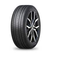 Foto pneumatico: TOURADOR, WINTER PRO MAX XL 255/45 R19 104V Invernali