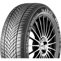 Foto pneumatico: ROTALLA, SETULA W-RACE S130 205/55 R16 91V Invernali