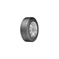 Foto pneumatico: ZEETEX, WP1000 195/55 R15 89H Invernali