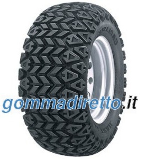 Foto pneumatico: CARLISLE, ALL TRAIL 2 24/ R10 89A8 Estive