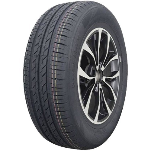 Foto pneumatico: DELMAX, TOURING S1 205/55 R16 91V Estive