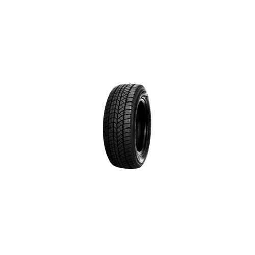 Foto pneumatico: Double Star, WINTERKING DW02 225/60 R18 100S Invernali