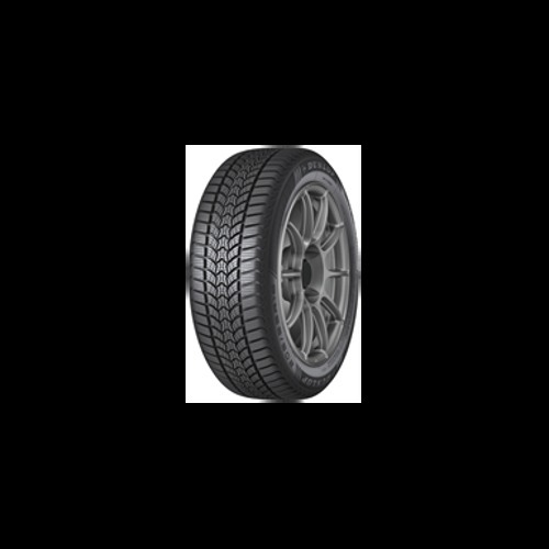 Foto pneumatico: DUNLOP, Winter Trail 205/55 R16 91H Invernali