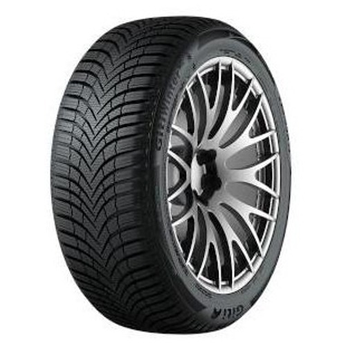 Foto pneumatico: GITI, WINTER W2 215/55 R17 98V Invernali