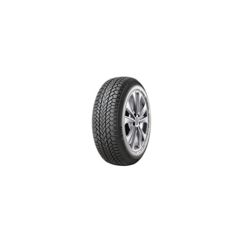 Foto pneumatico: GITI, WINTER W1 XL 195/55 R20 95H Invernali