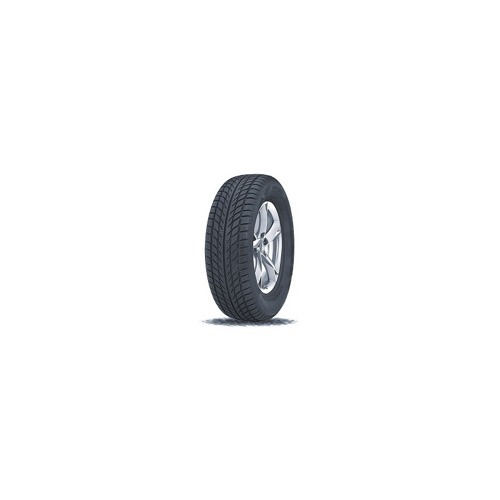 Foto pneumatico: GOODRIDE, SW608 205/55 R16 91T Invernali