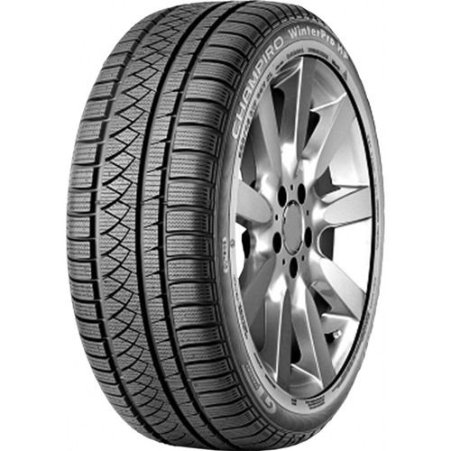 Foto pneumatico: GTRADIAL, CHAMPIRO WINTERPRO HP XL 205/55 R16 94V Invernali