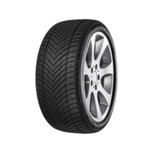 Foto pneumatico: MINERVA, AllSeason Master 205/55 R16 94V Quattro-stagioni