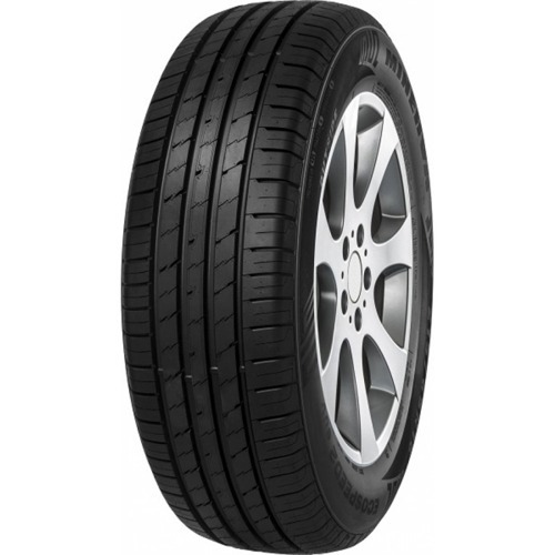 Foto pneumatico: MINERVA, ECOSPEED 2 SUV 255/65 R17 110H Estive