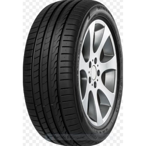 Foto pneumatico: MINERVA, F205 245/40 R17 95W Estive