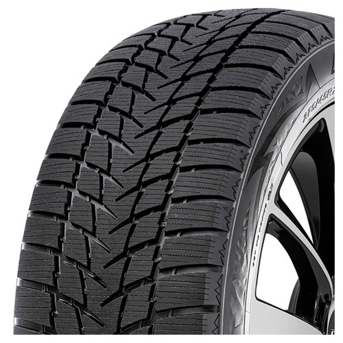 Foto pneumatico: RADAR, DIMAX ALPINE 205/60 R16 92H Invernali