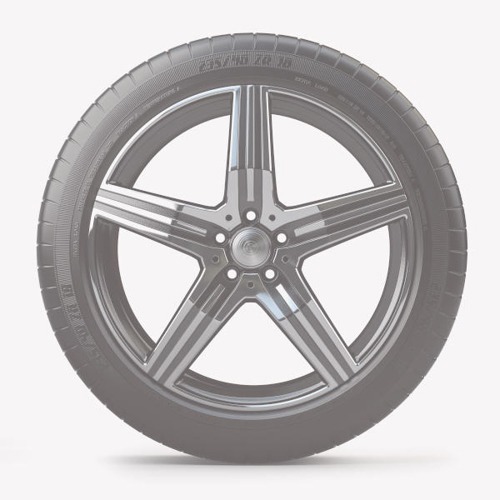 Foto pneumatico: PLATIN, RP100 195/55 R16 87H Quattro-stagioni