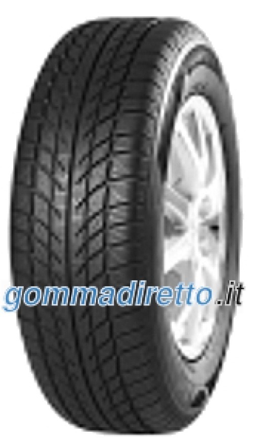 Foto pneumatico: TRAZANO, SW 608 205/55 R16 91H Invernali