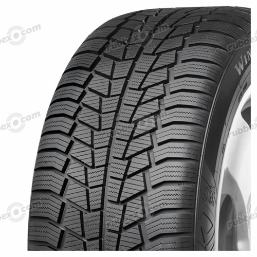 Foto pneumatico: VIKING, WINTECH FR 225/45 R17 91H Invernali