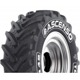 Foto pneumatico: ASCENSO, R1-W TDR650 600/65 R38 159D Estive